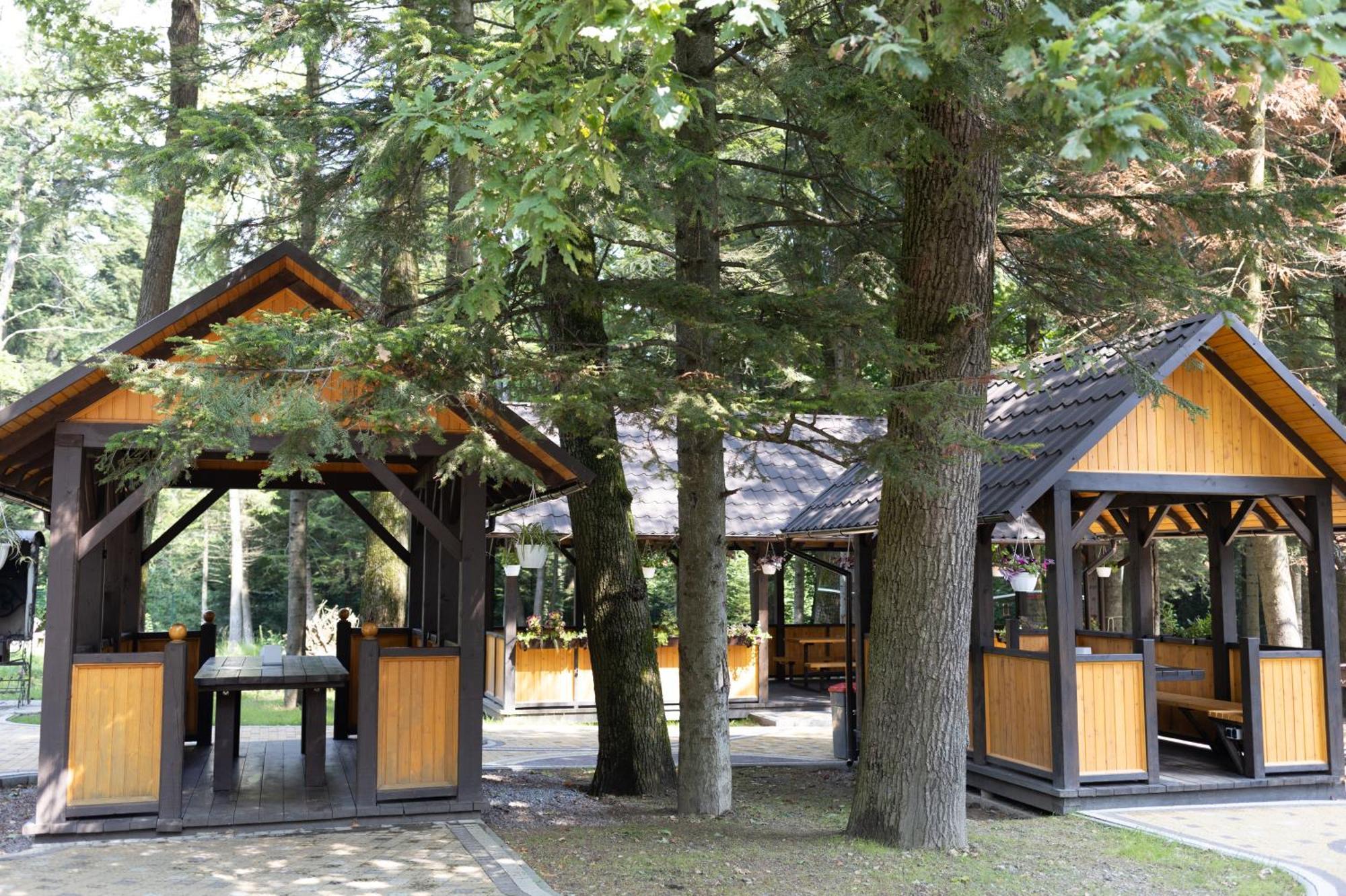 Vitapark Stariy Dub Truskavets Exterior photo